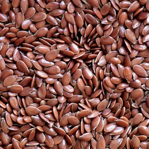  Flaxseed: Exploring its Extraction Process and Versatile Applications in Food and Textiles