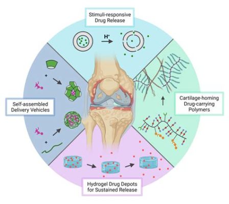  Dextran: A Natural Polymer Powerhouse for Advanced Drug Delivery Systems and Tissue Engineering Applications!