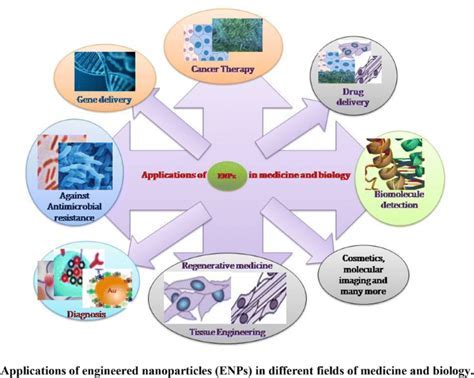  Lactide: Unveiling its Potential for Biocompatible and Sustainable Medical Devices!