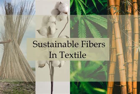  Flax: Unraveling the Versatility of this Ancient Textile Treasure!