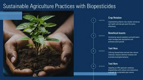  Neem Oil: A Biopesticide Powerhouse for Sustainable Agriculture Practices!