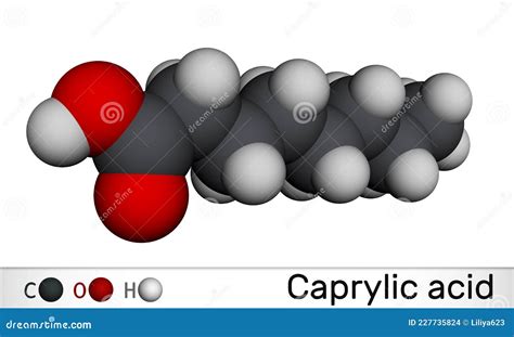 Octanoic Acid – A Marvelous Fatty Acid for Flavor Enhancement and Corrosion Inhibition!